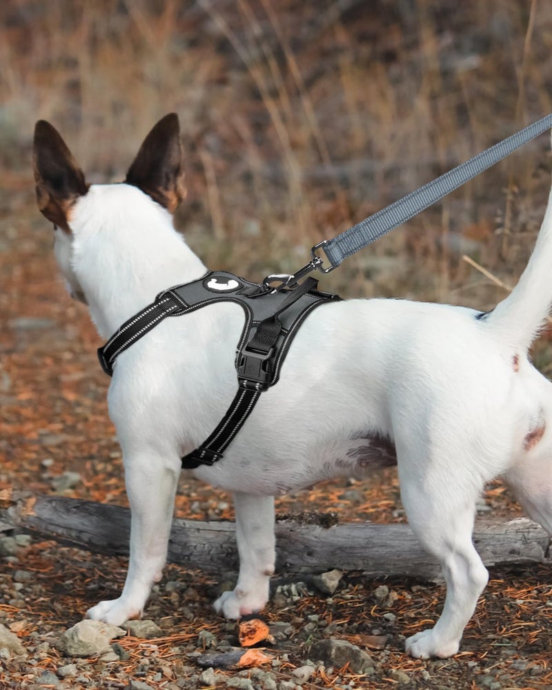 Joytale Dog Leash, 6 FT Double-Sided Reflective, Padded Handle Nylon Heavy Duty Leashes for Medium & Large Dogs Walking, Gary, 6FT - Image 3